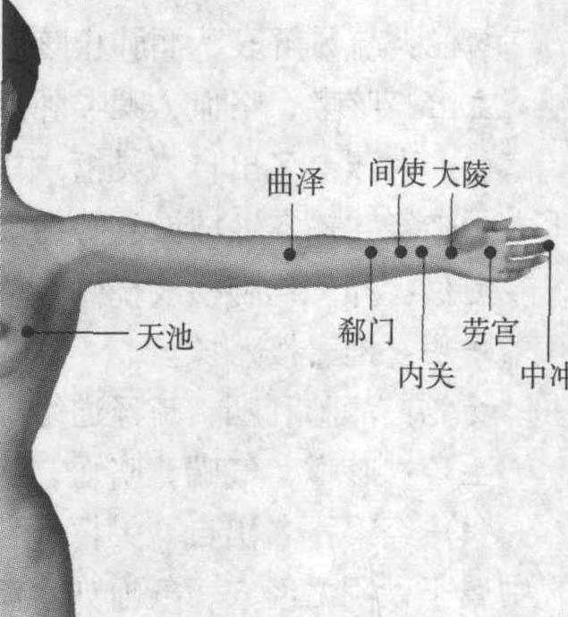 (四) 手厥陰心包經(jīng)